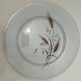 5 porcelain dessert plates
