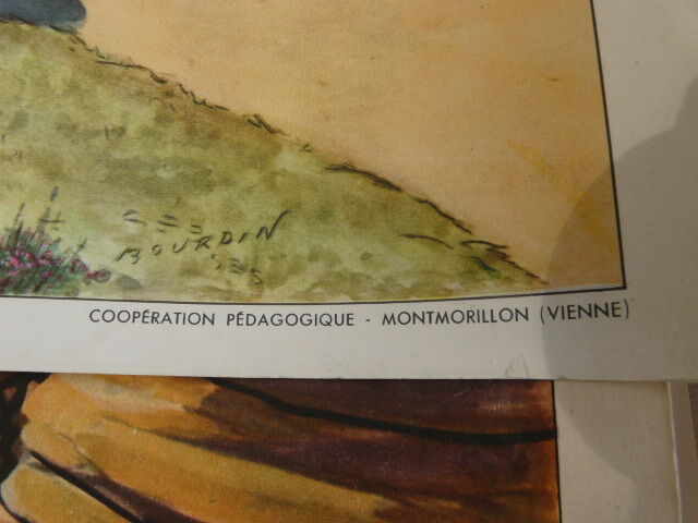 Rossignol school poster N°15 and 16 the limestone plateau and granite terrain