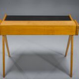 Desk by Helmut Magg for WK Möbel, 1950s