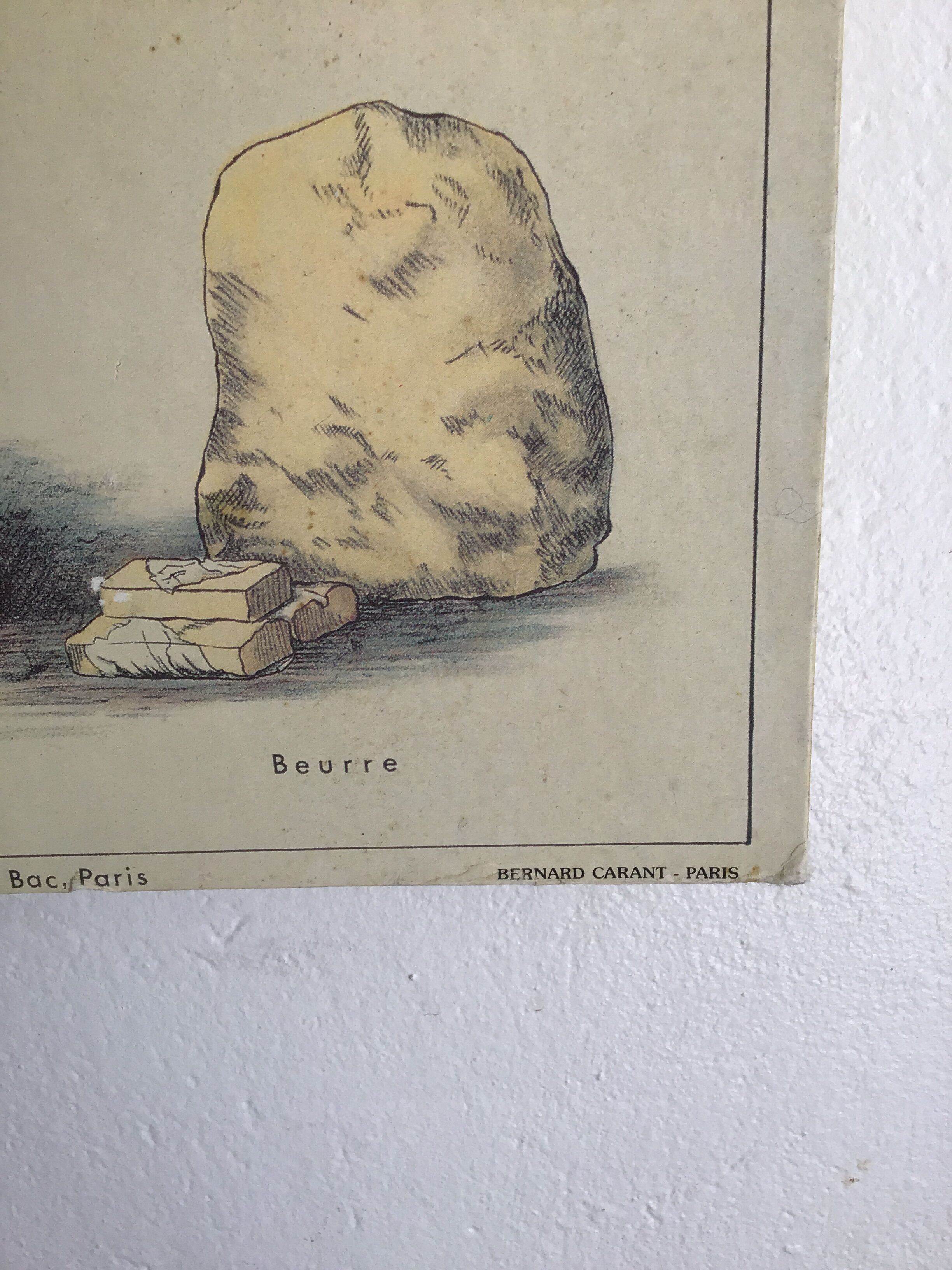 Educational school poster on milk