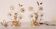 Set of 2 Murano Table Light White Flowers, 1970s