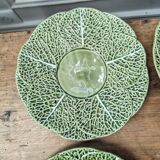6 cabbage plates