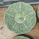 6 cabbage plates