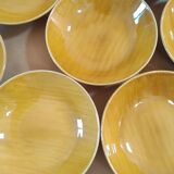 Salins Earthenware Dinner Service, Provence Model, 70'