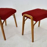 1960s Ludvik Volak beech stools by Drevopodnik Holesov, Czechoslovakia