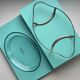 Presentation plate Saint-Hilaire Ercuis – glass and silver-plated metal