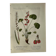 Naturalist Plate – 19th Century Botanical Engraving, Double-Sided