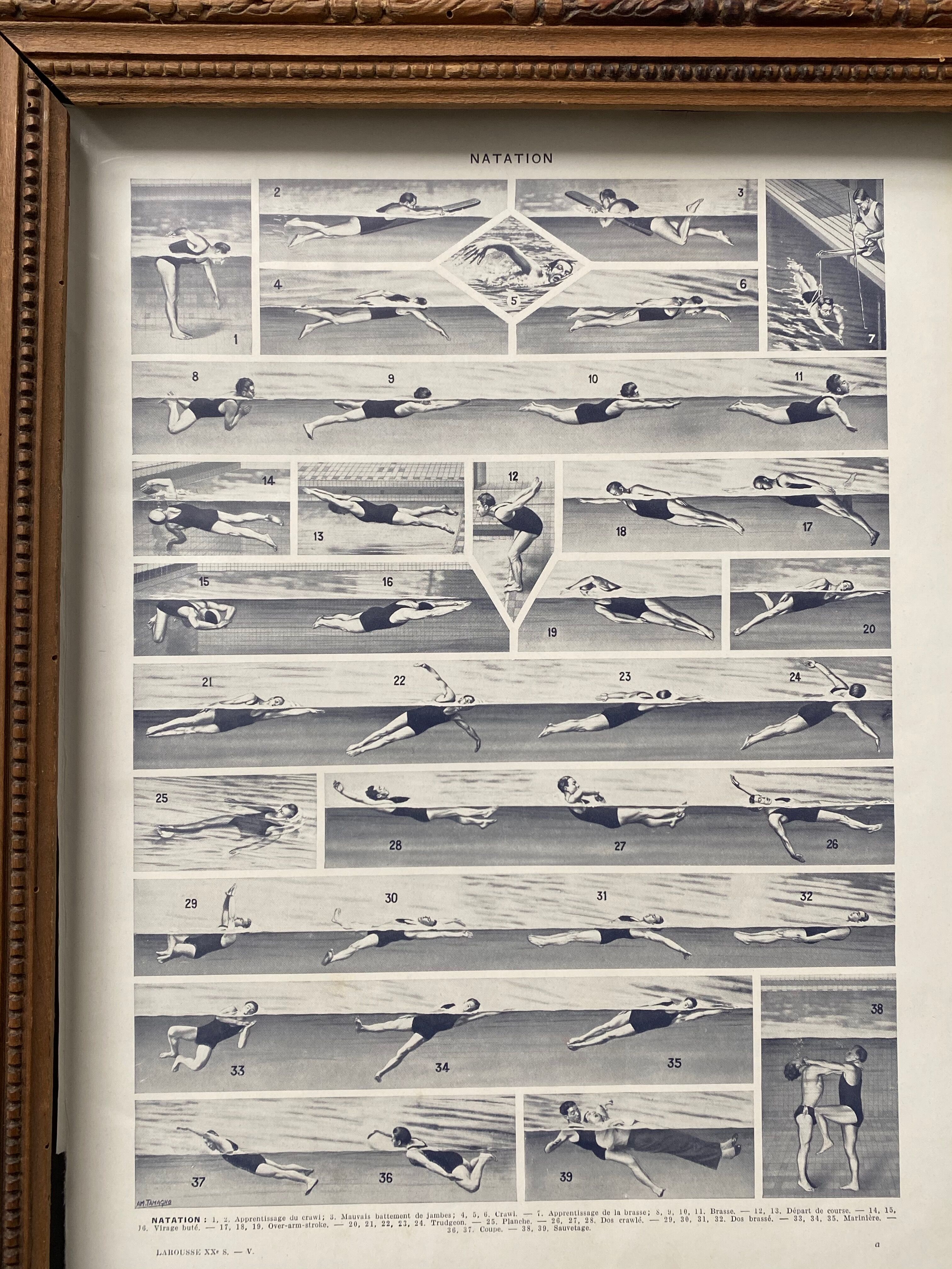 Former illustration Larousse "Swimming"