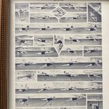 Former illustration Larousse "Swimming"