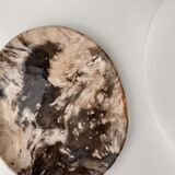 Very large empty pocket or petrified wooden flat
