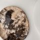 Very large empty pocket or petrified wooden flat