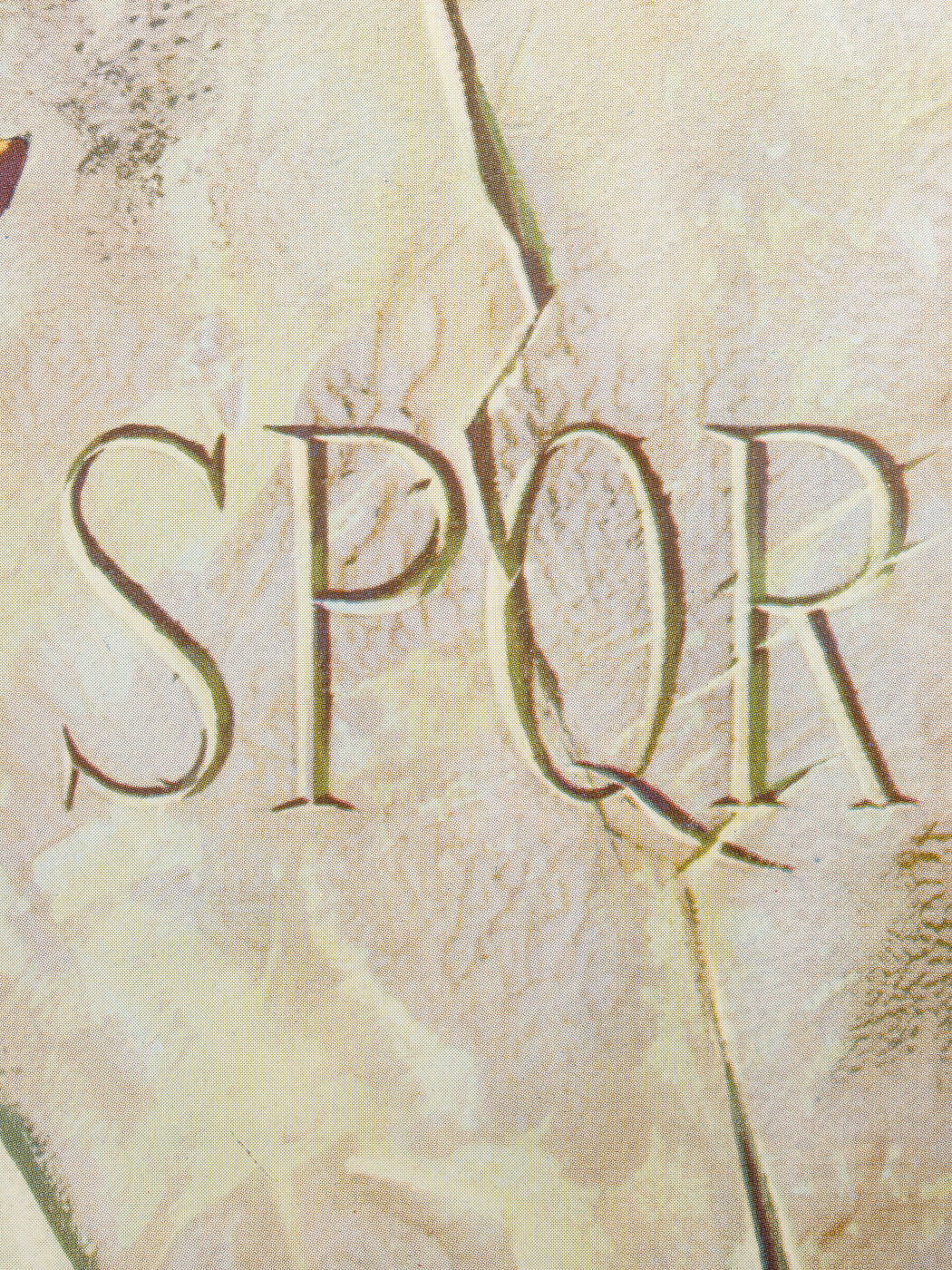 „gironata olimpica“ 100 cm x 140 cm