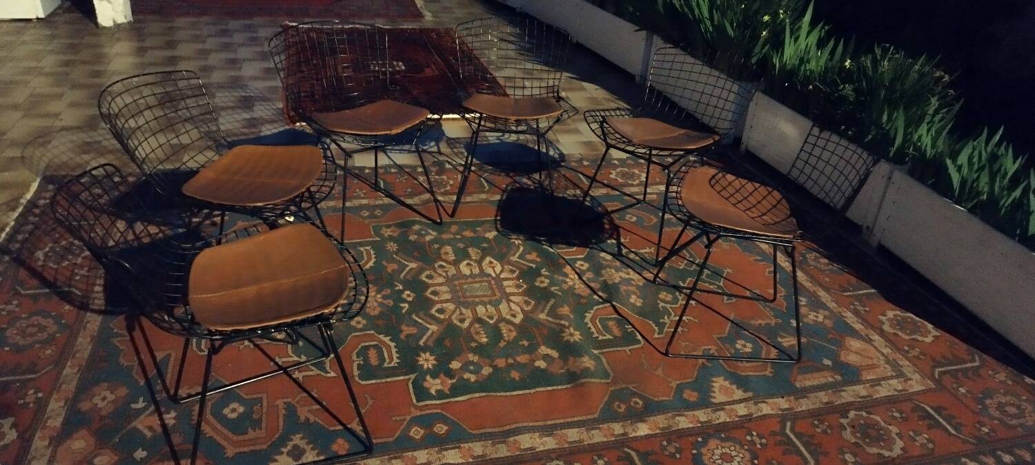 6 chaises Wire Harry Bertoia noires