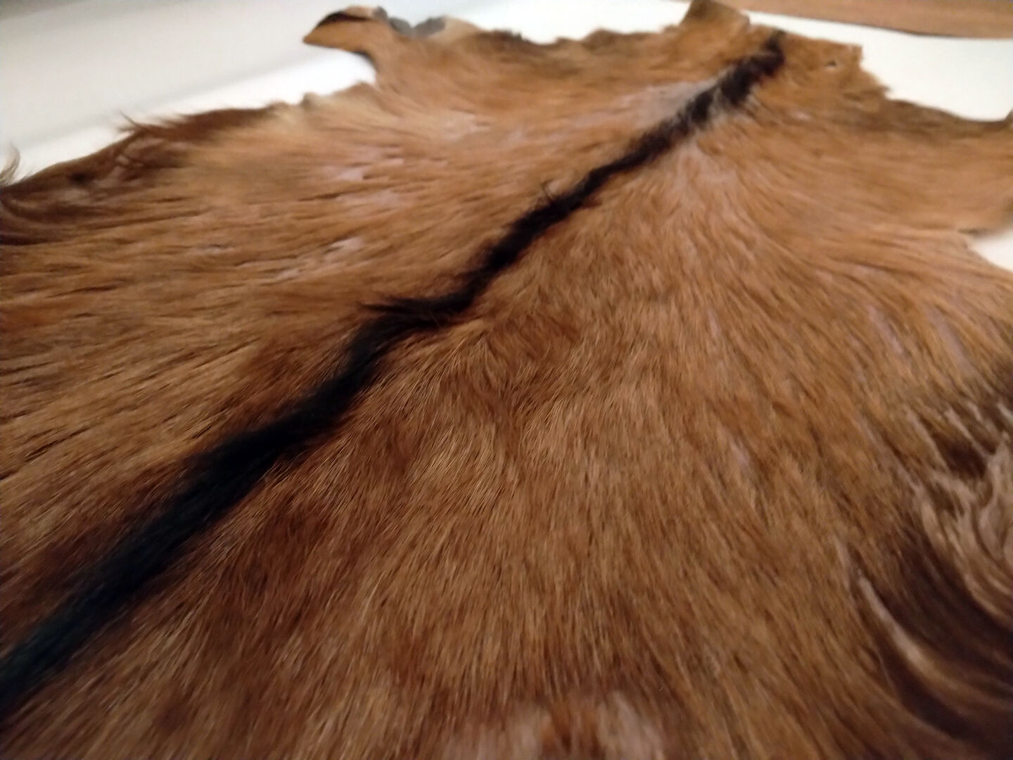 Vintage skin 95x60 cm