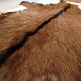 Vintage skin 95x60 cm