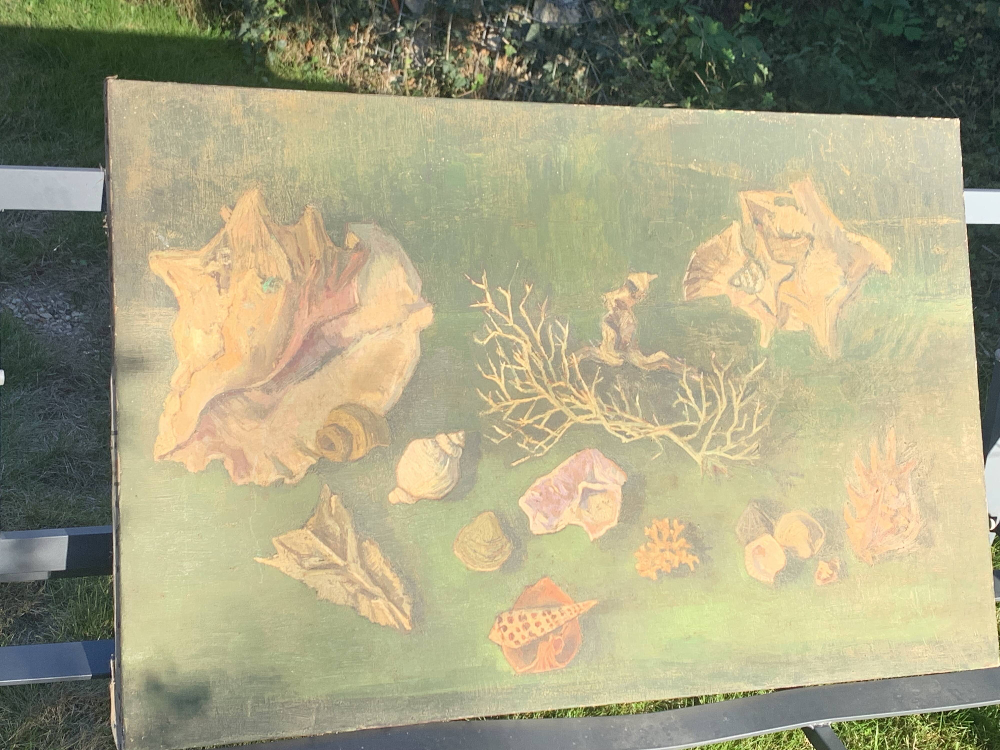 Large painting of shells, cabinet of curiosities, sign, vintage