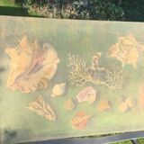 Large painting of shells, cabinet of curiosities, sign, vintage