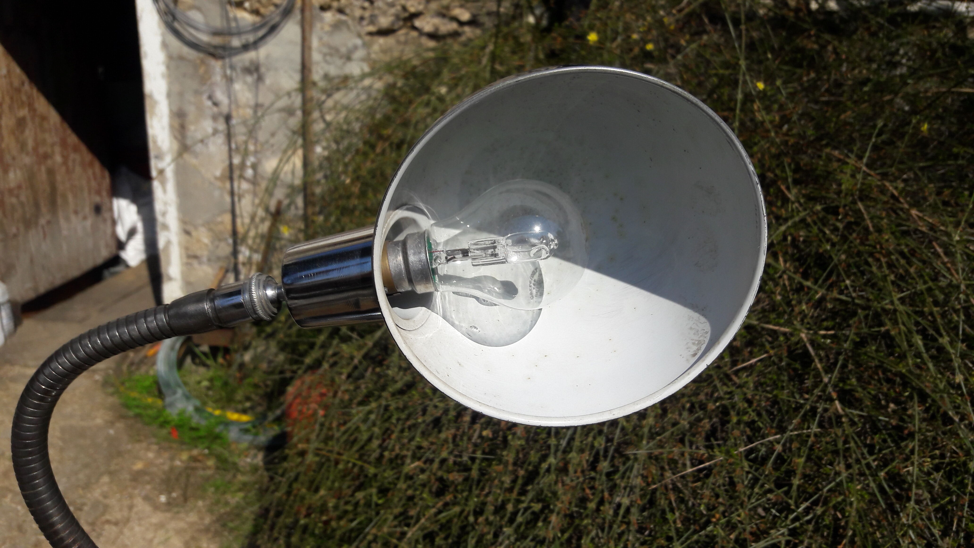 Jumo chrome lamp "50" to ask