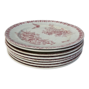 Lot de 8 assiettes plates