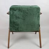 Fauteuil Green Bunny de Józef Chierowski années 1970