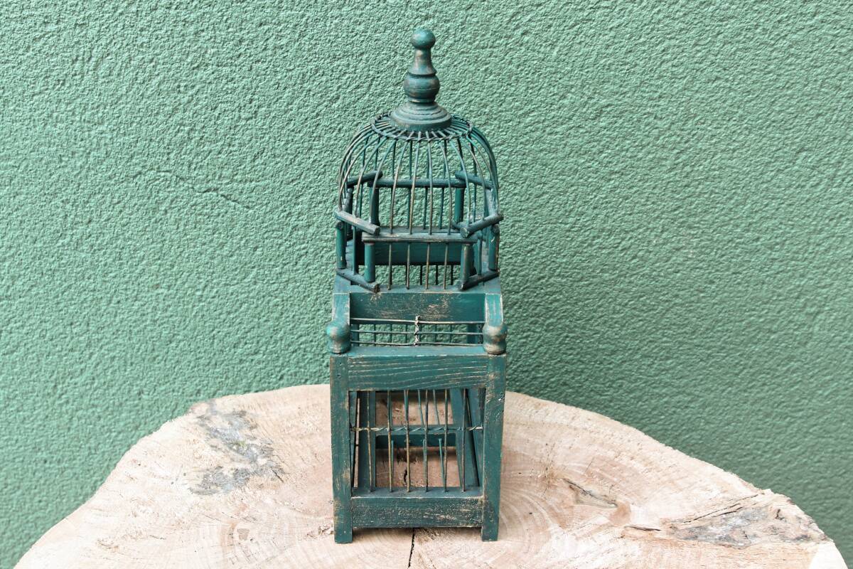 Old bird cage