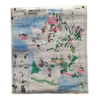 Old MDI school map poster: France "industrial cultures and forests / Garonne".