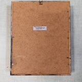 Scorpion stuffed under glass