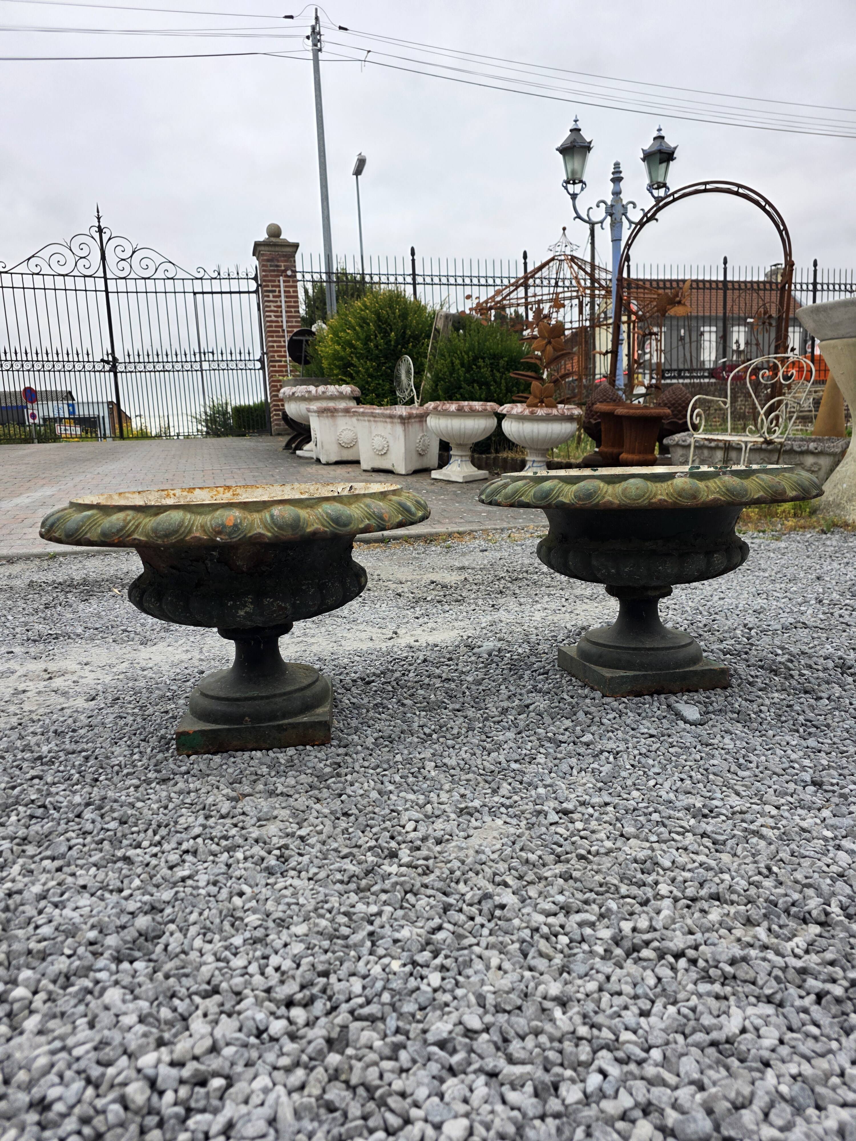 Pair of Medici vases in cast iron from the 19th century, 55cm wide.