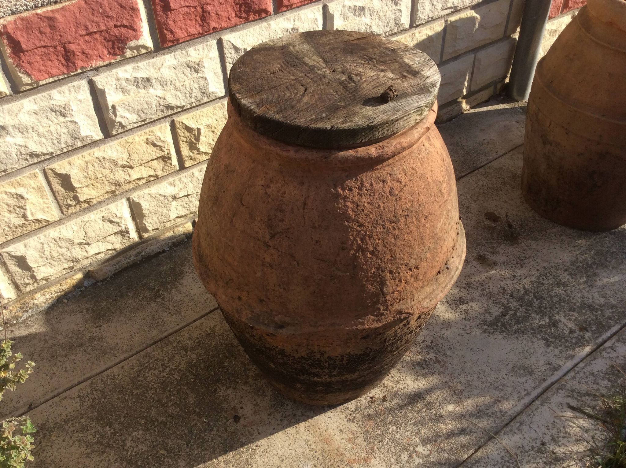 Ancient Orcio dà olio italiano