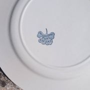 Iron earth plate Salins