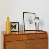 Vintage shoe cabinet