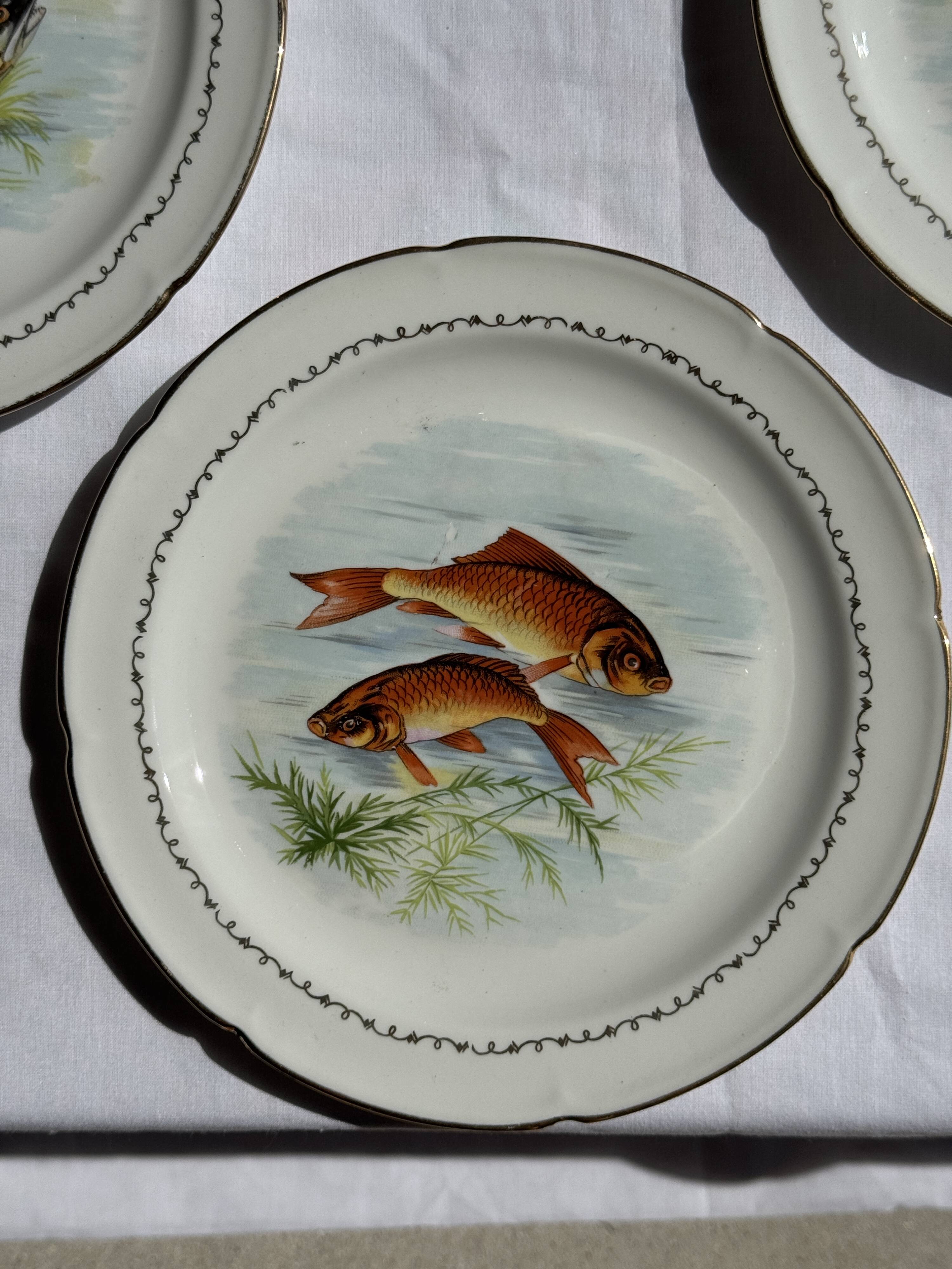 Set of 6 vintage Limoges porcelain plates with fish design.
