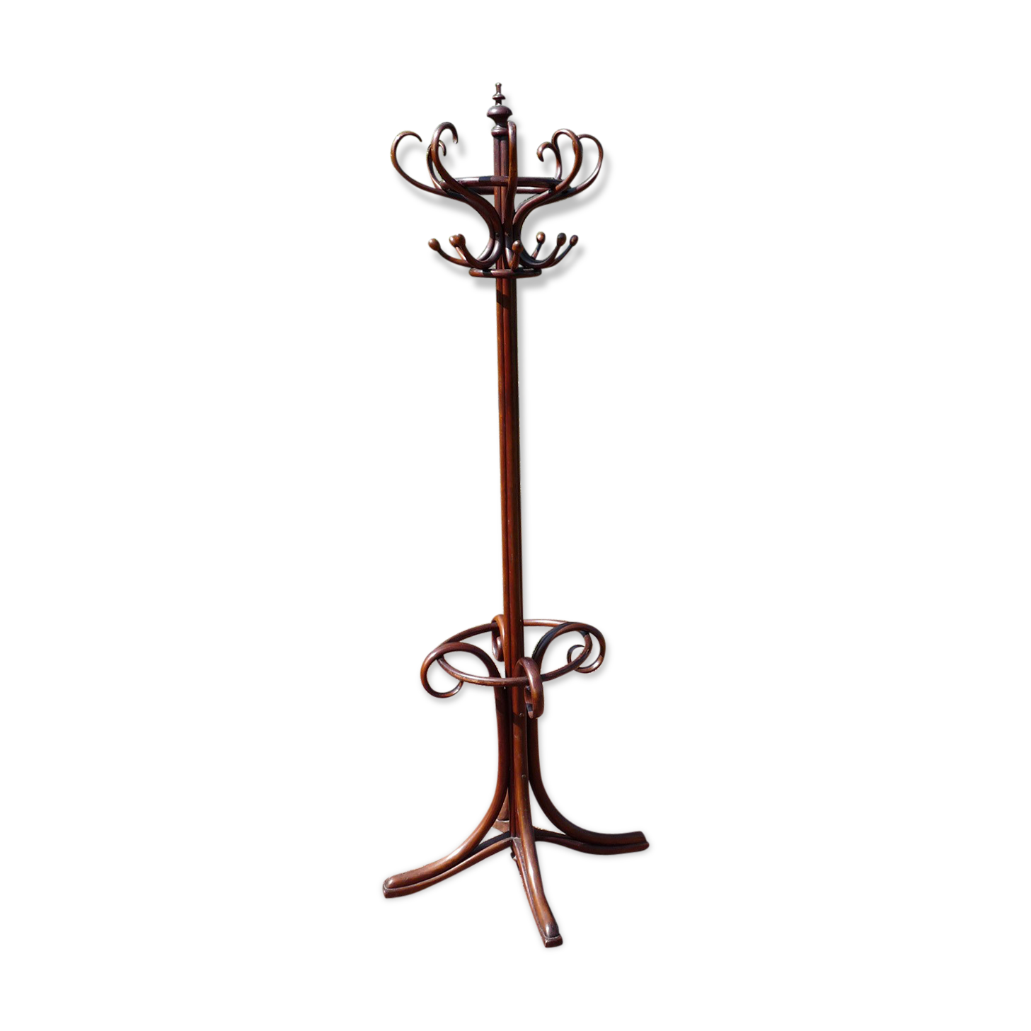 Coat rack Parrot Thonet bentwood 1930