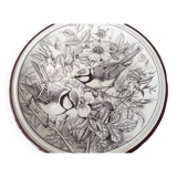 Pavesi plates