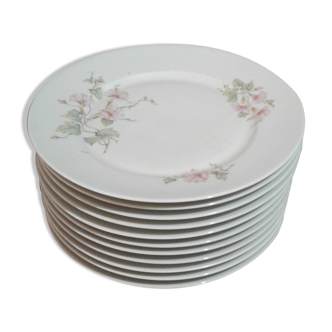 11 flat plates .porcelain limoges