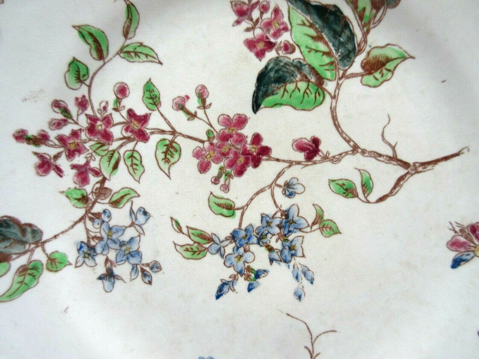 Assiette polychrome à dessert signée onnaing, oiseaux, papillons et fleurs