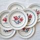 Set of 7 dessert plates Cannes de Digoin