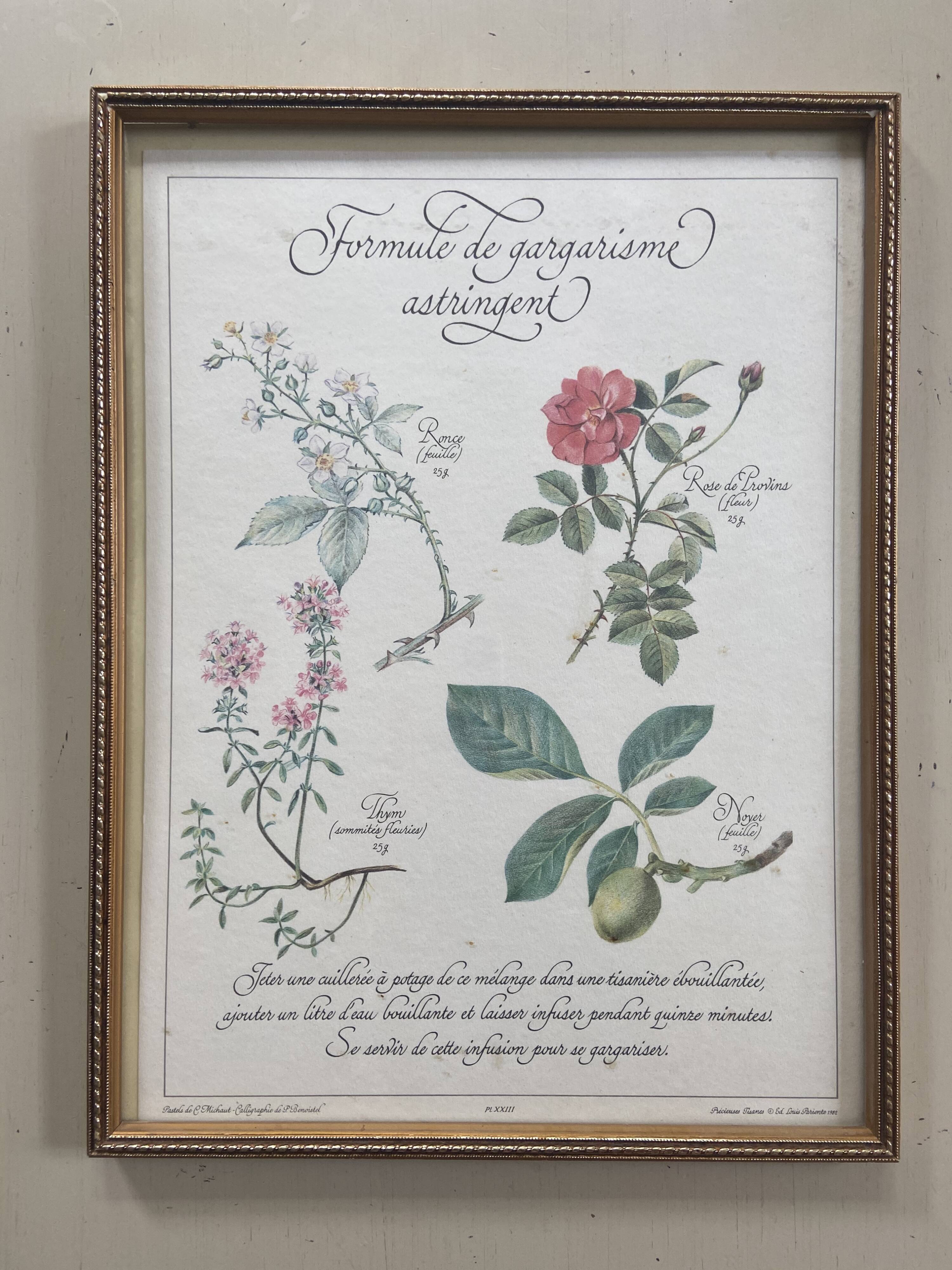 Botanical plank "Astringent gargle formula"