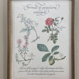 Botanical plank "Astringent gargle formula"