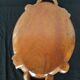 Carved wooden top, of asian origin