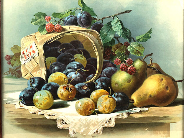 Still life with fruit, framed chromolithograph, under glass