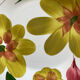 6 Ceramica San Marciano dessert plates