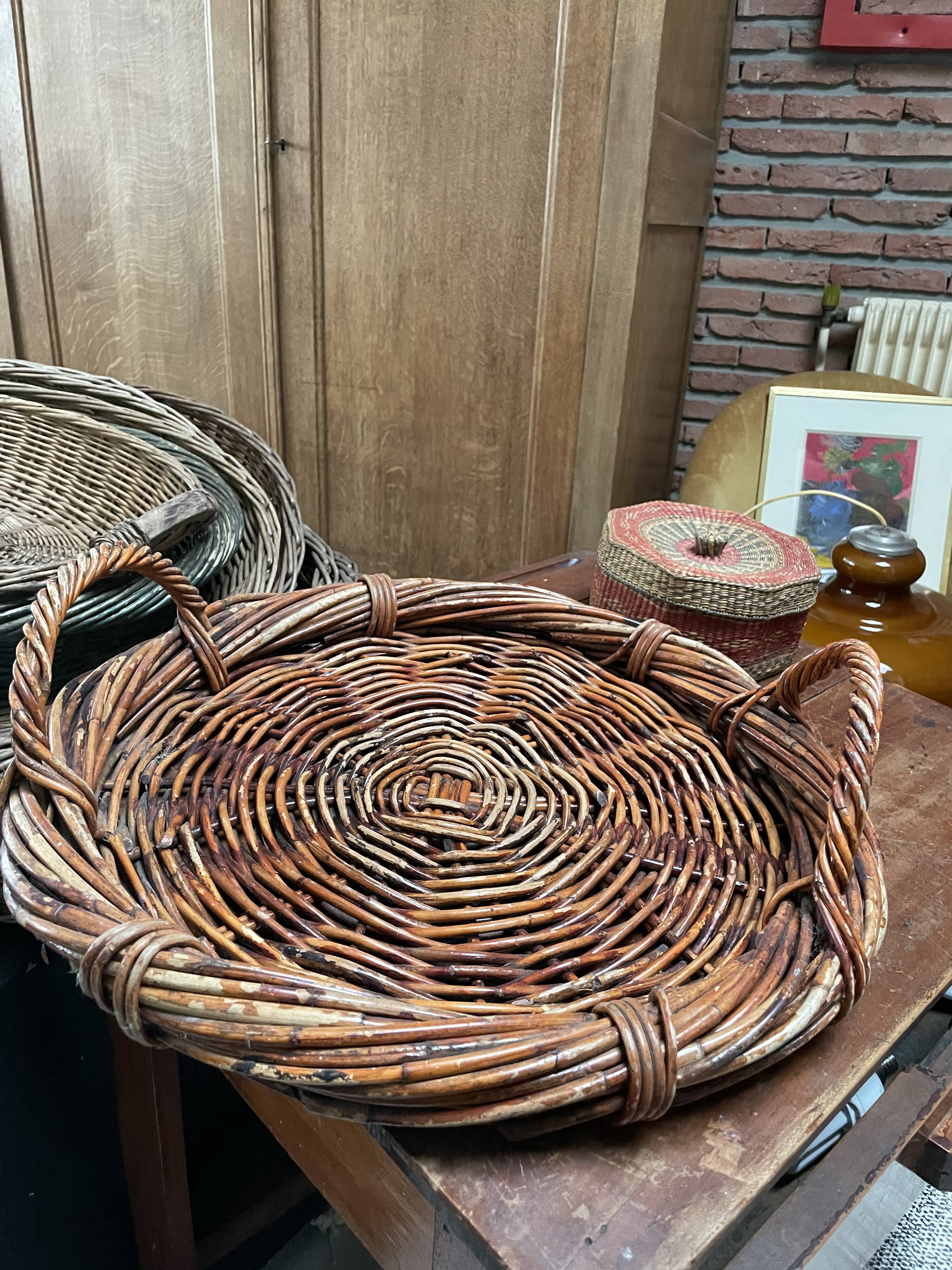 Albert basket