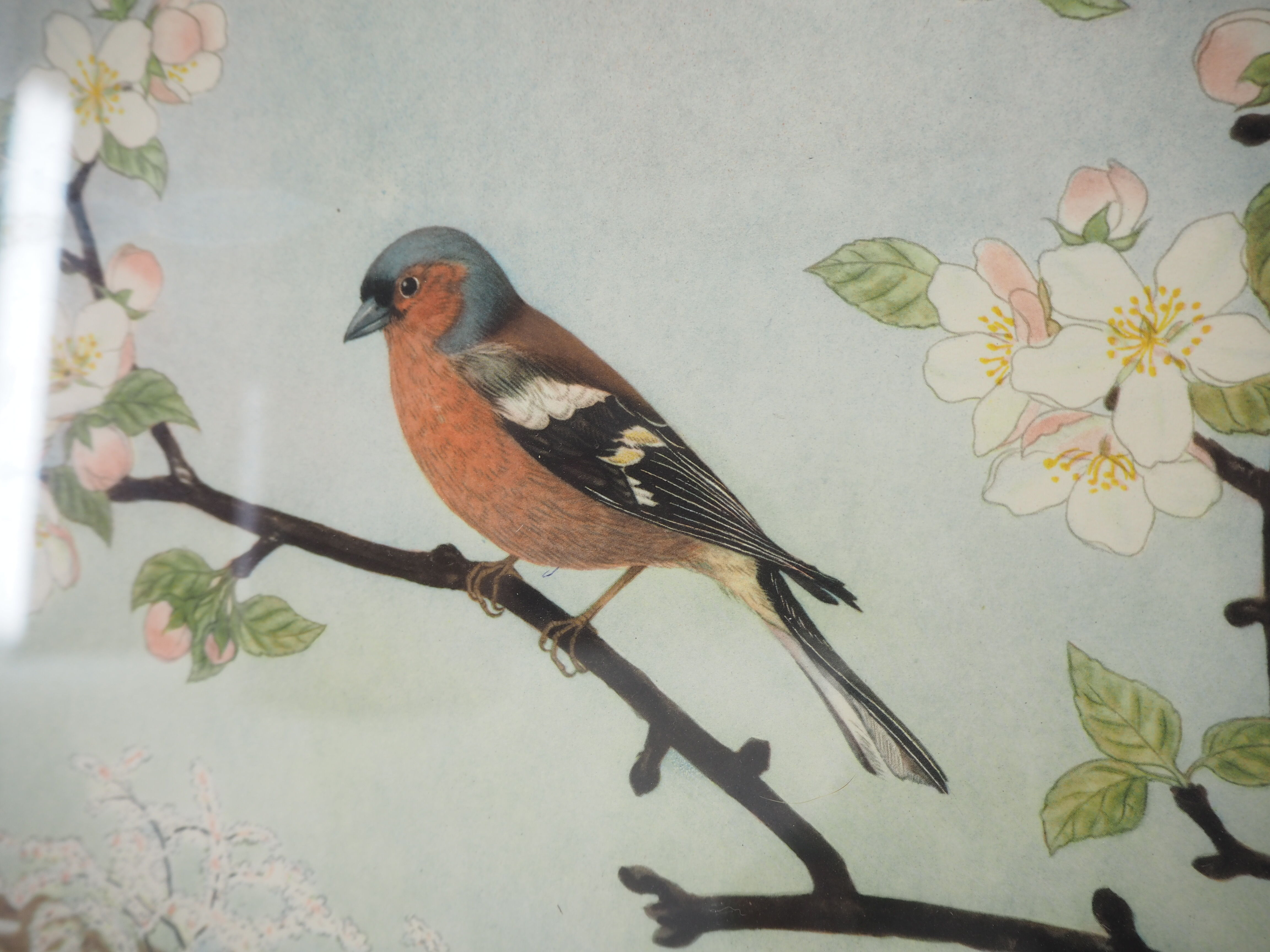 Midcentury School Poster, Czechoslovakia, 1960s