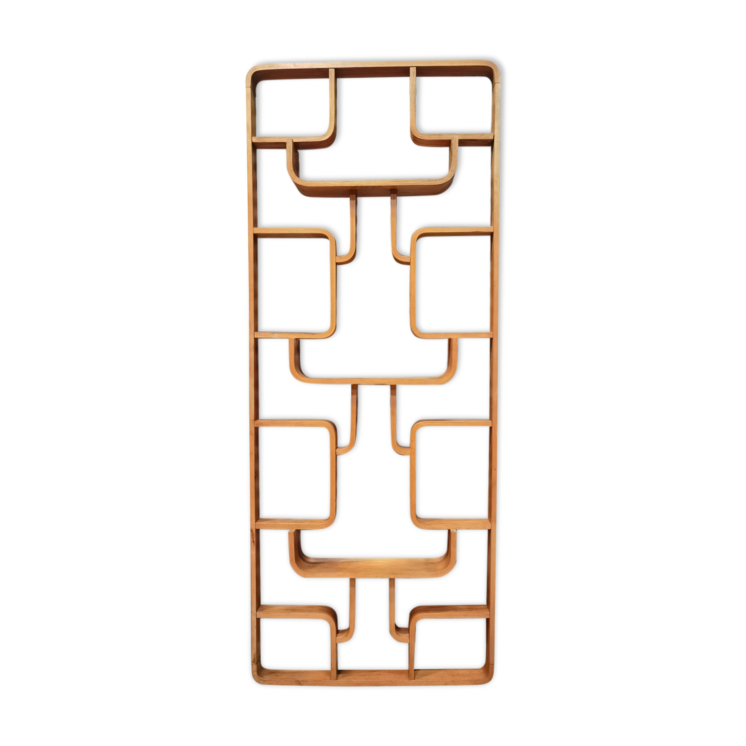 Claustra Ludvik Volák for Drevopodnik Holesov Room Divider separator