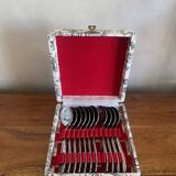 12 ice cream spoons in their box