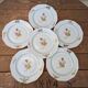 Ensemble de 6 assiettes à dessert à motif de bouquet de fleurs 20.5cm