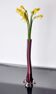 Purple Soliflore in Murano glass, Italy, 1960