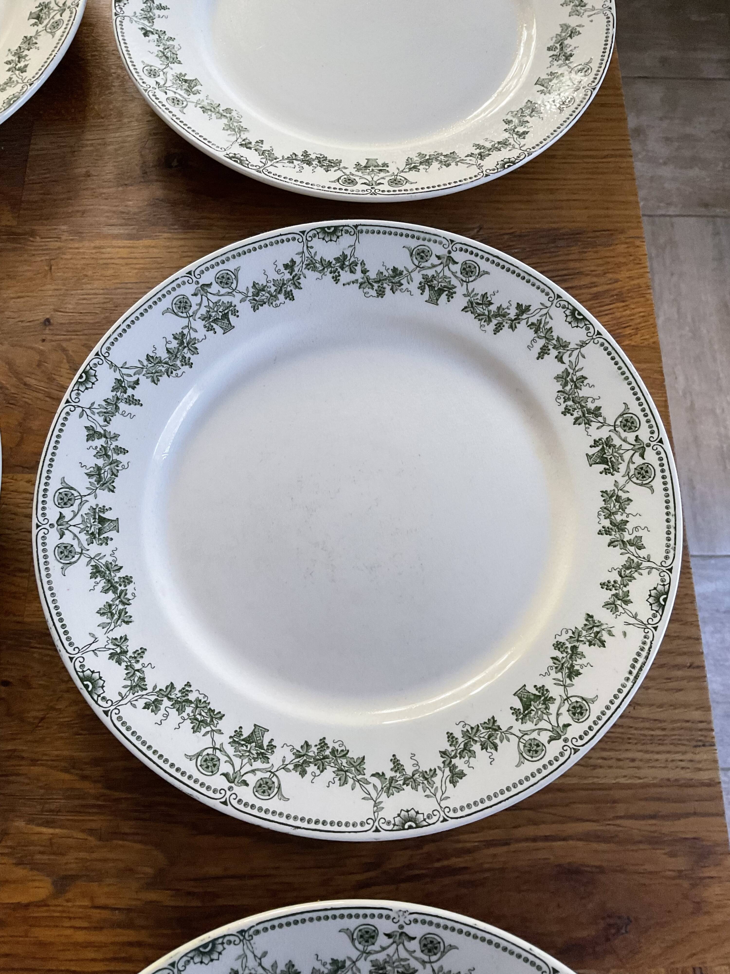 Set 6 flat plates badonviller model champagne