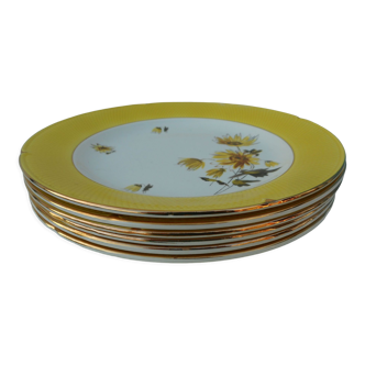 Set of six flat earthenware plates